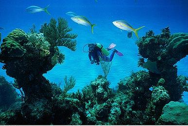 《While Waiting》Steam页面 发售日期待定